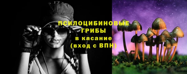 дмт Заволжск