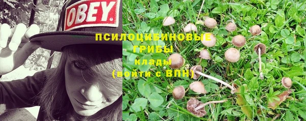 дмт Заволжск