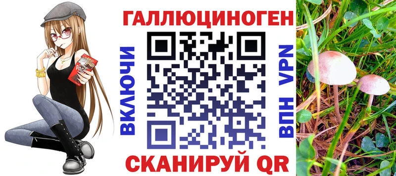 Псилоцибиновые грибы прущие грибы  Купить  Курлово 